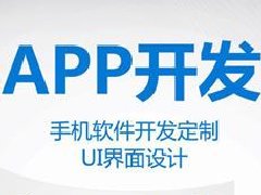 APP軟件開發工具-PWA
